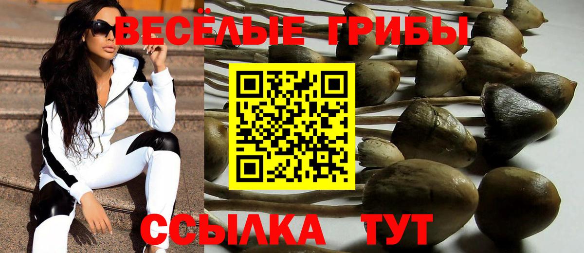 Россошь  Галлюциногенные грибы ЛСД  купить наркоту  Вход с VPN 